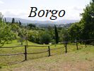 la campagne toscane � Borgo Bottaia (fin)