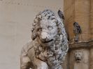 le mus�e en plein air de la loggia dei Lanzi, lion antique