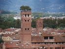 la torre Guinigi vue du haut du campanile