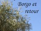 les oliviers de Borgo Bottaia