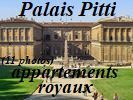 le Palais fut la r�sidence de Lucca Pitti ambitieux banquier florentin, puis des M�dicis. Napol�on y installa sa base en Toscane.