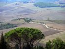 vue depuis la colline de Pienza (fin)
