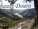 paysages du haut Douro
