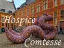 Mus�e de l'Hospice Comtesse (construit en 1237). Exposition temporaire - le Serpent Cosmique -  une nouvelle lecture de l�aventure artistique de l�homme au sein de la nature, en lien profond avec elle.
