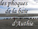 La baie d'Authie